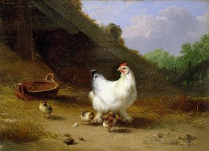 Een hen met haar kuikens